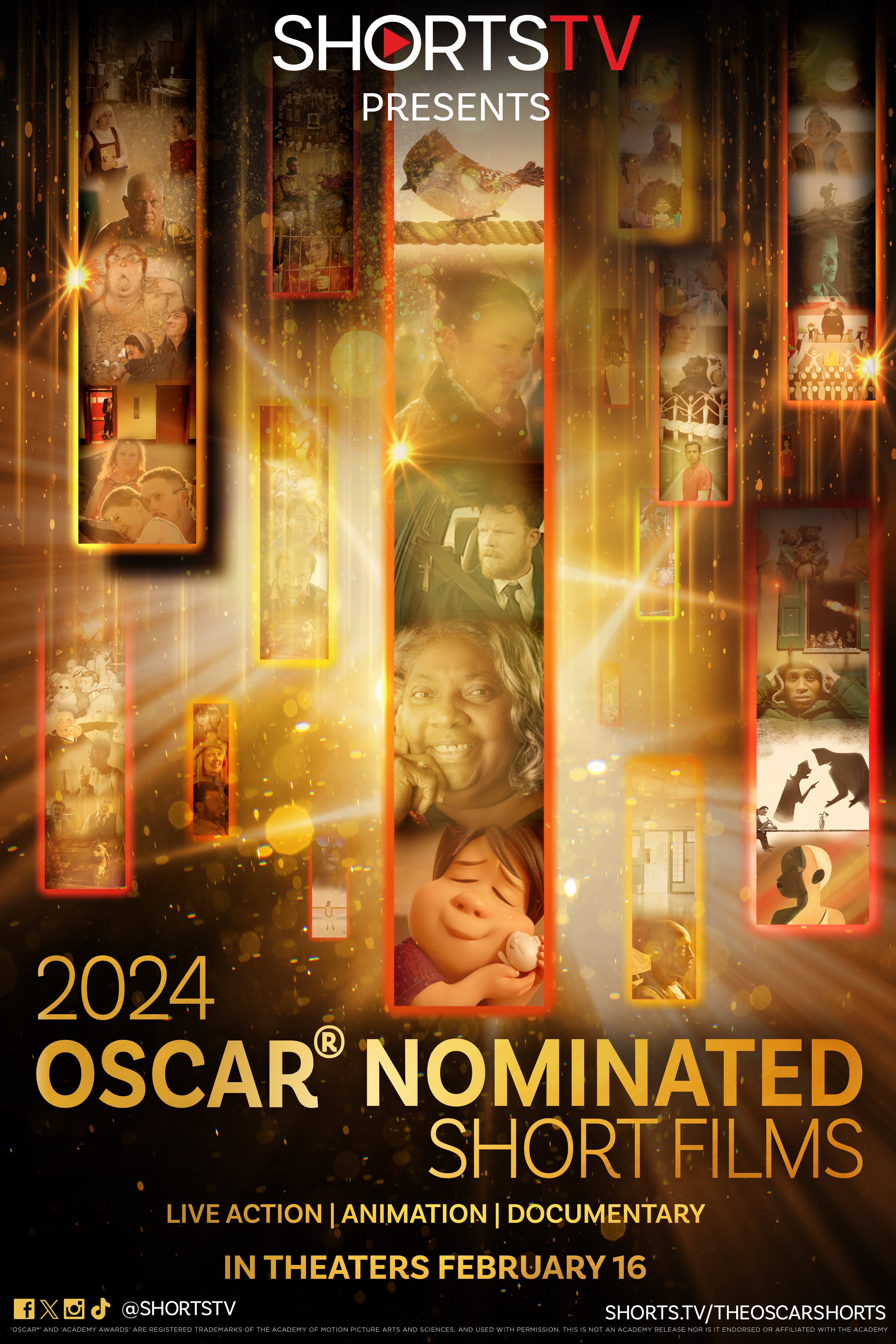 2024 Oscar Nominated Short Films Documentary The New Store at